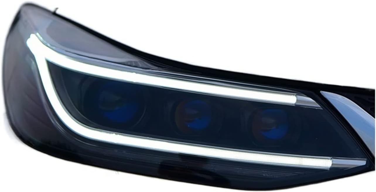 BACCARAT オールドバカラ/極希少 オパーリン 手彩色日本趣味花鳥扇子図